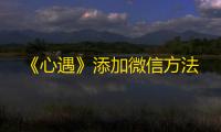 《心遇》添加微信方法